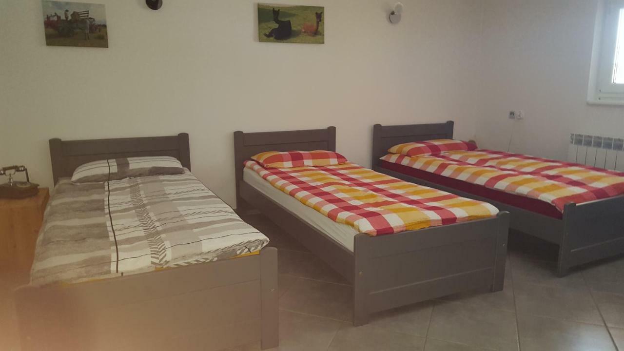 Farm stay Alpaka-ranczo Aff Pulawy