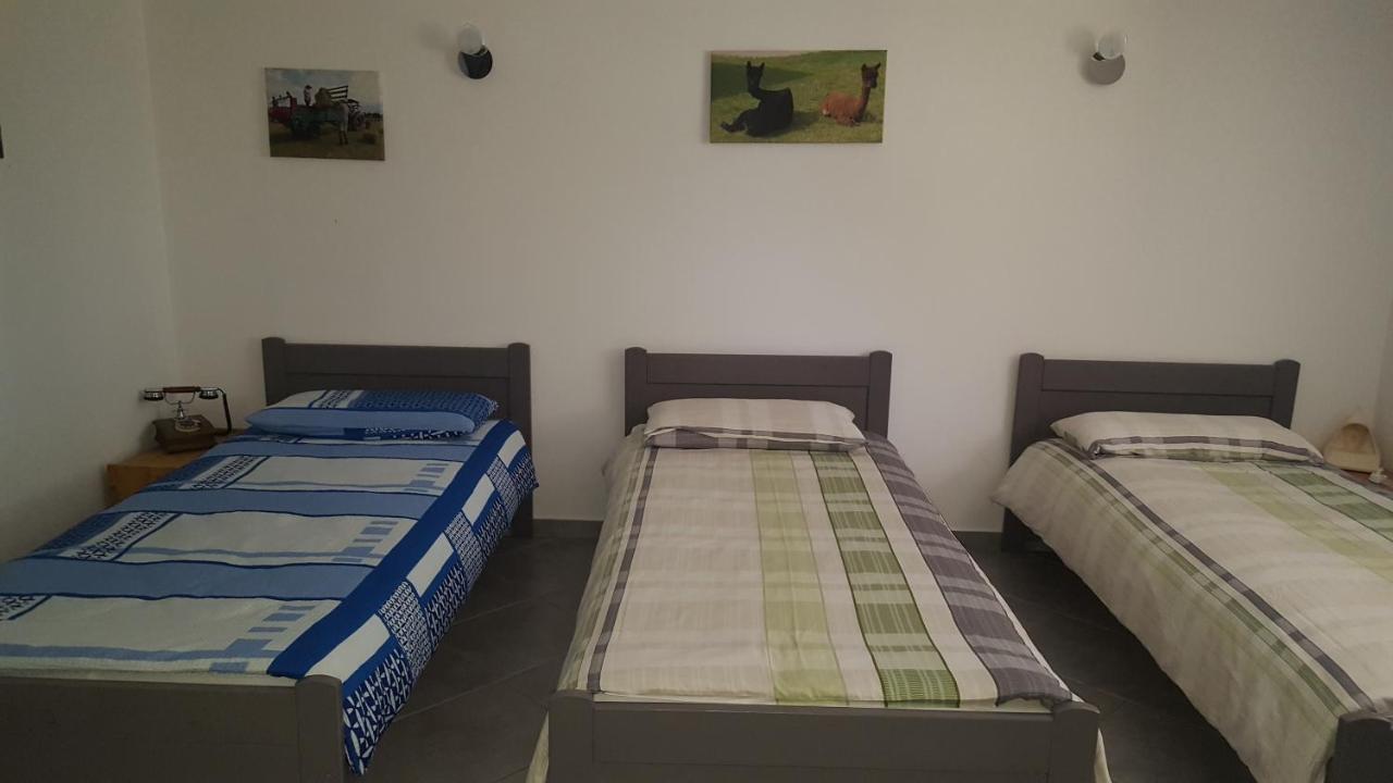 Alpaka-ranczo Aff Farm stay Pulawy